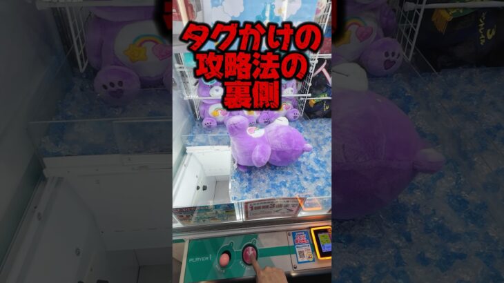 タグ掛け攻略法の裏側