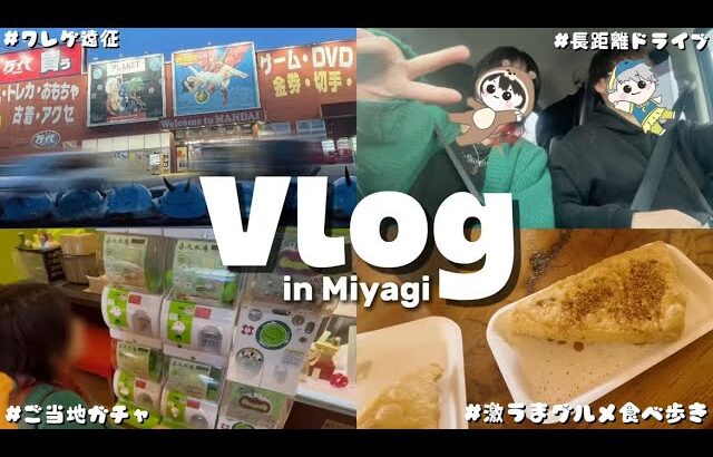 【旅行vlog✈️】久しぶりに帰った故郷が大満足だった件✨💖