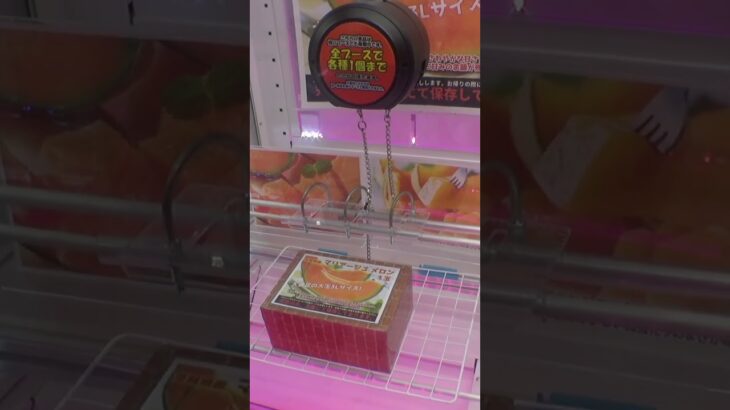 高級マリアージュメロンが貰えるクレーンゲーム発見したww#クレーンゲーム