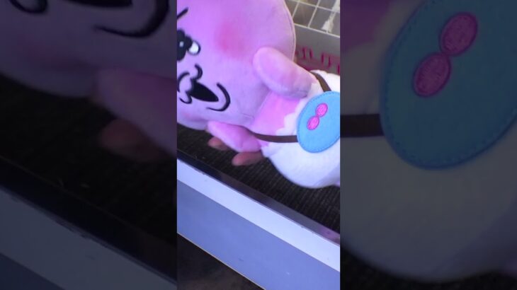 大好物の一撃必殺台クレーンゲームやってみたww#クレーンゲーム