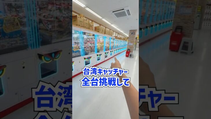 台湾キャッチャー全台チャレンジしたらまさかの結果にwww #shorts  #クレーンゲーム #ufoキャッチャー#ゲーセン #ゲームセンター  #arcade #clawmachine