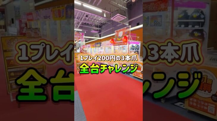 ぬいぐるみ全台チャレンジしたらまさかの結果にwww #shorts  #クレーンゲーム #ufoキャッチャー#ゲーセン #ゲームセンター  #arcade #clawmachine