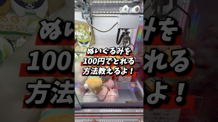 100円でぬいぐるみが獲れる！#クレーンゲーム #shorts #short #攻略 #コツ #ufoキャッチャー #clawmachine #shortvideo