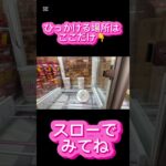 【100円】だけのはずか？スローでみてね #クレーンゲーム #アミューズメント限定 #ゲームセンター #プライズ獲得 #クレーンゲームの沼さん #ゲーセン #ufoキャッチャー
