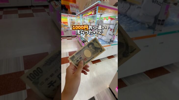【ゲーセン】おばあちゃんからもらった1000円でクレーンゲームプレイしてみた！