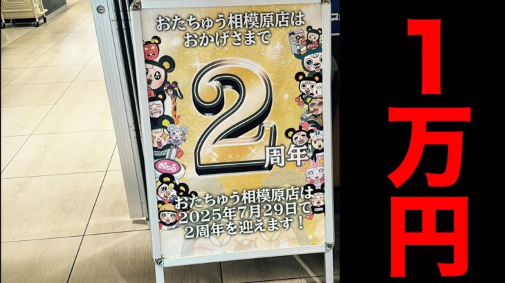 「夏休みスタート」相模原おたちゅうでクレーンゲーム10,000円UFOキャッチャーやるぞ