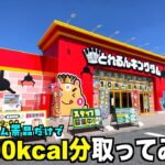 景品だけで10000kcal超えるまで帰れない地獄企画やってみたww【クレーンゲーム／UFOキャッチャー】〜高評価3000達成で企画継続〜