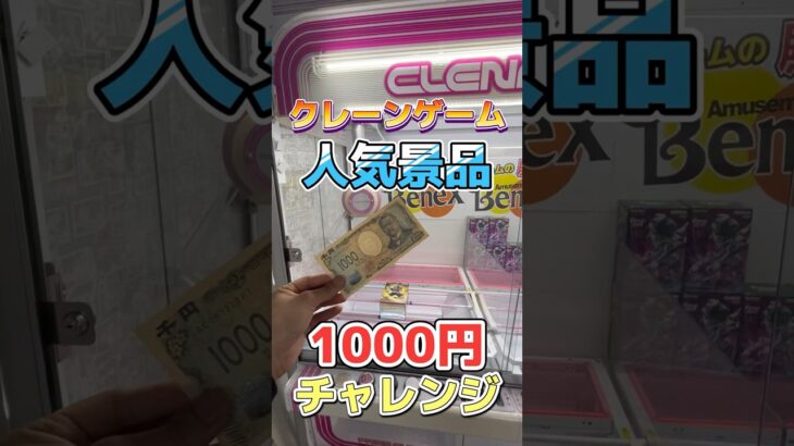 【検証】1000円で人気景品2種獲れる！？ #クレーンゲーム #ufoキャッチャー #1000円チャレンジ