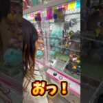 【クレーンゲーム】前回の続き1000円チャレンジ！！#ufoキャッチャー #クレーンゲーム #ゲームセンター #ゲーセン #しなこちゃん #1000円チャレンジ #クレーンゲーム景品