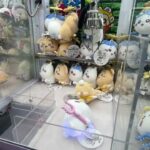 【クレーンゲームリアリティ122】　討伐に行くならクレゲで仲間をゲット①！！ちいかわ 討伐マスコット「うさぎ」　3本爪　確立機　ちいかわ　コツ【千葉鑑定団湾岸習志野店】