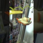 1回300円の謎クレーンゲーム全部回収してみたww#クレーンゲーム