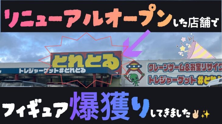 【クレーンゲーム】15　　#とれとる米原店 さんリニューアル店舗調査フィギュア重視でいってきました💖