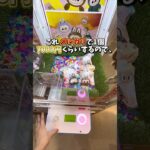 【ゲーセン】1個7000円するラブブのぬいぐるみがクレーンゲームに入ってたので挑戦してみました。(LABUBU)