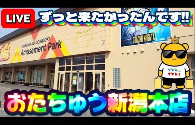 【新潟実戦2日目】ずっと来たかったおたちゅうさんの本店!! 大型倉庫ゲーセンで遊びます!! LIVE IN おたちゅう新潟本店