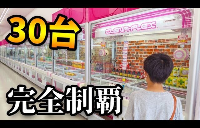 【クレーンゲーム】30台カニ歩き!!小学生がフック設定を全台制覇した結果… 【ufoキャッチャー 回遊館】