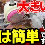 【見ないと損】大きい箱のプライズ取り方4パターン全部公開！これを見れば勝ち確です【山梨 クレーンゲーム 倉庫系】
