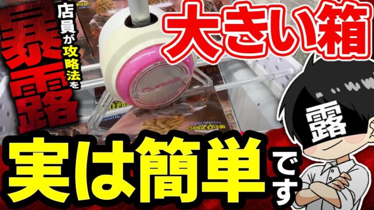 【見ないと損】大きい箱のプライズ取り方4パターン全部公開！これを見れば勝ち確です【山梨 クレーンゲーム 倉庫系】
