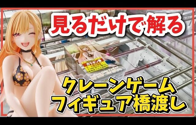 クレーンゲーム講座:新プライズ4店舗で取ってきた！みんな違ってみんないい 【 #倉庫系ゲーセン 】