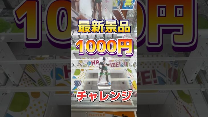 【闇】相場4000円の景品が未だに残るお店を調査してみた… #クレーンゲーム #ufoキャッチャー #ハンターハンター