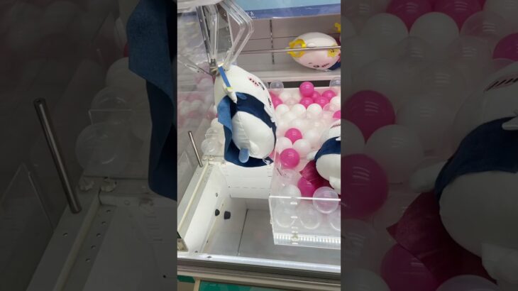 プロが魅せるぬいぐるみ攻略集4選#shorts #クレーンゲーム #ufoキャッチャー #ゲーセン #clawmachine #arcade #funny #tiktok