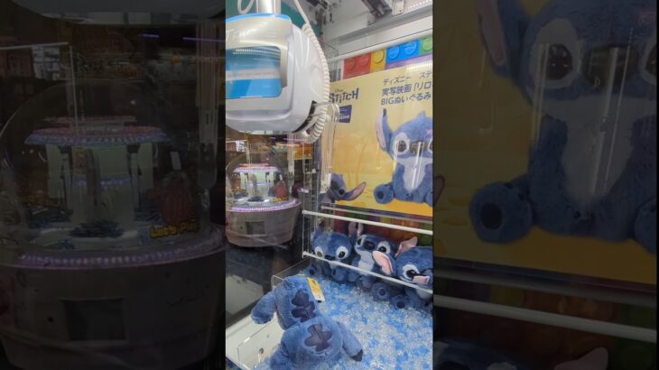 5回!実写映画スティッチぬいぐるみ #クレーンゲーム #arcadegames #stitch #disney