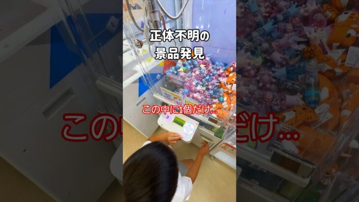 50円キャッチャーで正体不明の景品発見したんだけど… #ゲームセンター #クレーンゲーム #ufoキャッチャー