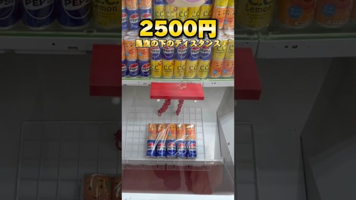5000円チャレンジした結果が恐ろしかった… #shorts #クレーンゲーム #ufoキャッチャー #cranegame #お菓子