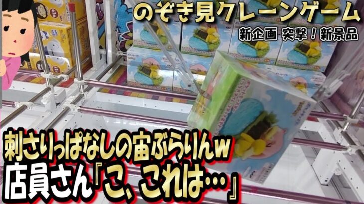 【新企画】突撃！新景品☆5000円以内で何個GETできるかやってみた！【特別編③】
