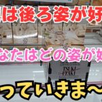 【夫婦でクレーンゲーム】登場初日!!7種類攻略!!僕は後ろ姿が好き❤あなたはどの姿が好き？ ＃クレーンゲーム ＃ufoキャッチャー ＃回遊館養父店