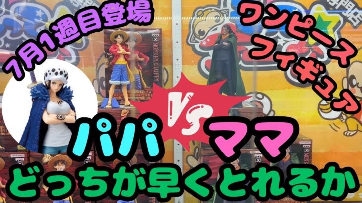 【クレーンゲーム】 7月1週目登場ワンピースフィギュア　パパVSママ　どっちが早くとれるか!?