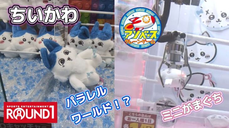 ちいかわミニがまぐち〜リボン〜☆ ハチワレパラレルワールド！？BIGぬいぐるみ☆ 自力GETは中々に厳しい最近の設定…（泣）【クレーンゲーム】