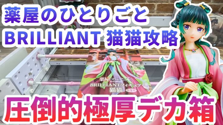 【クレーンゲーム】薬屋のひとりごと  BRILLIANTフィギュア 猫猫攻略 圧倒的極厚デカ箱