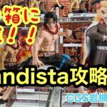 『クレーンゲーム』CGS岩槻店でデカ箱の鬼滅の刃と、ワンピース取ってきた！