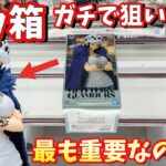 【CGS岩槻】3000円握りしめて欲しい景品取りに行った結果【クレーンゲーム】