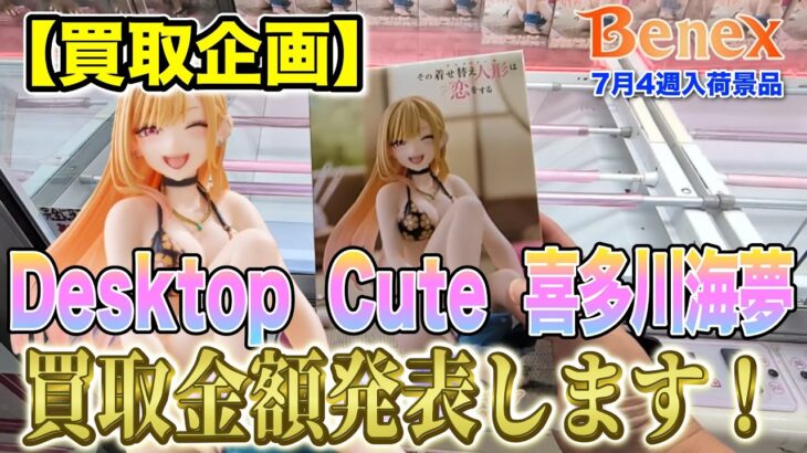 【クレーンゲーム】【買取企画】Desktop Cute 喜多川海夢　これは今後伸びそうな予感！！　＠ベネクス川崎店