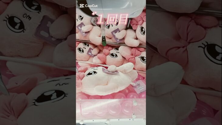 【クレーンゲーム】新作エスターバニーどう攻略？🐇　　　　#エスターバニー#ぬいぐるみ#グッズ#クレーンゲームコツ#Esther Bunny#UFOキャッチャー#cranemachine#うさぎ
