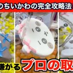 【クレーンゲーム】ちいかわ・低反発クッション〜リボン〜を確実にGETするコツ５選！
