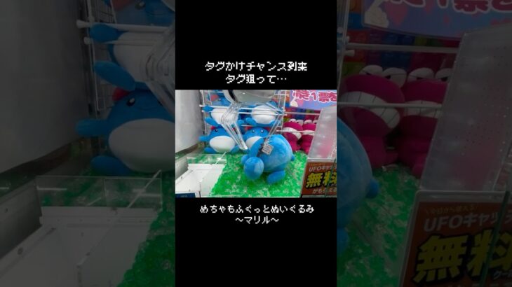 【速報＆悲報】最新マリル大GET！！　#ポケモン#pokemon #ポケットモンスター #クレーンゲーム#ぬいぐるみ