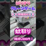【はりきりクレーンゲーム】蚊取り橋渡しでGET#クレーンゲーム #ゲームセンター #ゲーセン #ufoキャッチャー #橋渡し #夏 #蚊取り#攻略