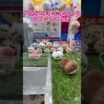 アピナでぶんぶんしてカブトムシGET!? #プライズ獲得 #ゲームセンター #確率機 #クレーンゲーム #ゲーセン #ufoキャッチャー #攻略