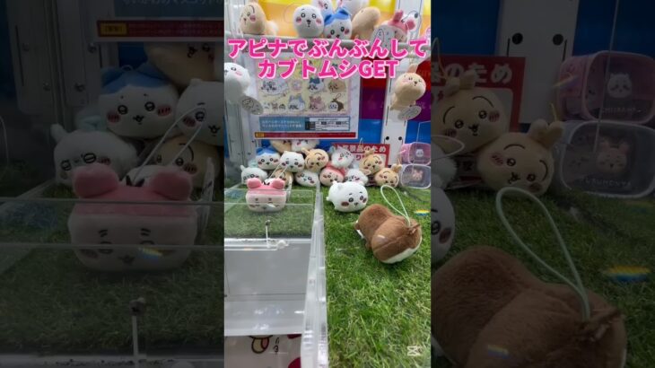 アピナでぶんぶんしてカブトムシGET!? #プライズ獲得 #ゲームセンター #確率機 #クレーンゲーム #ゲーセン #ufoキャッチャー #攻略