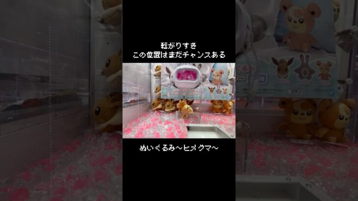 【転がりすぎ】小ヒメグマGET！！　#ポケモン#pokemon #ポケットモンスター #クレーンゲーム#ぬいぐるみ