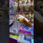取れすぎ注意!?景品大量GET集#shorts #クレーンゲーム #ufoキャッチャー #ゲーセン #clawmachine #arcade #funny #tiktok