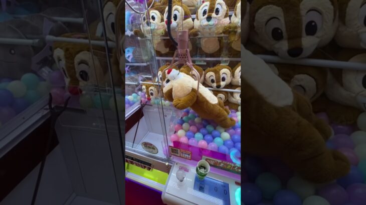 取れすぎ注意!?景品大量GET集#shorts #クレーンゲーム #ufoキャッチャー #ゲーセン #clawmachine #arcade #funny #tiktok