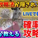 【永久ゴミ箱版】見た人だけが得すれば良い攻略 LIVE動画