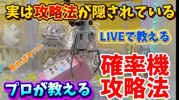 【永久ゴミ箱版】見た人だけが得すれば良い攻略 LIVE動画