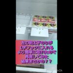 L字フック設定裏技みせます！！誰でも簡単に取れます😃#クレーンゲーム#ゲームセンター#フック設定#ufoキャッチャー