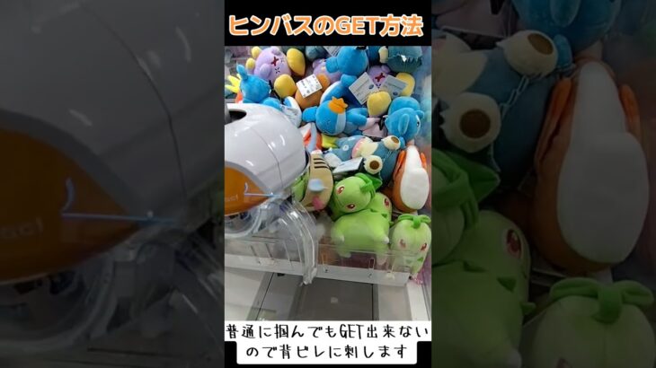 #攻略 #クレーンゲーム #ゲーセン #確率機 #確率無視 #ポケモン #ヒンバス #ポケットモンスター  ポケットモンスター  TikTok