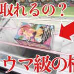 【クレーンゲーム】これ取れるの？トラウマ級の橋幅！？橋渡し設定攻略！ ｢無編集｣｢保存用｣  #UFOキャッチャー  #クレーンゲーム
