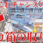 【クレーンゲーム】知ってると得するデカ箱の取り方！プライズフィギュア橋渡し設定攻略！ ｢無編集｣｢保存用｣  #UFOキャッチャー  #クレーンゲーム
